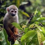 Ocho personas presuntamente desaparecidas tras deslizamiento de tierra en sur de China
