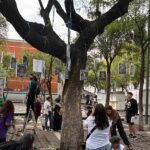 Lluvias refrescarán este Día de las Madres, ¿en qué estados caerá hasta granizo?