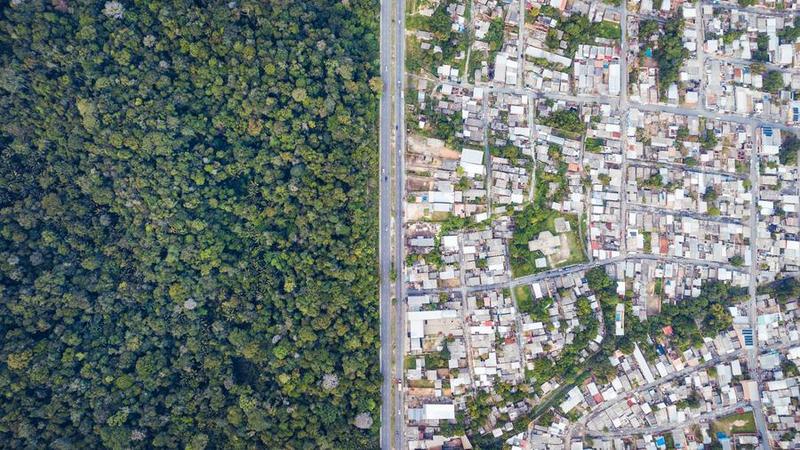 OCDE recorta previsión de crecimiento de economía argentina al 5,2 % para 2025