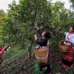 Ampliación: Xi destaca importancia de fomentar avance cultural y ético de alta calidad